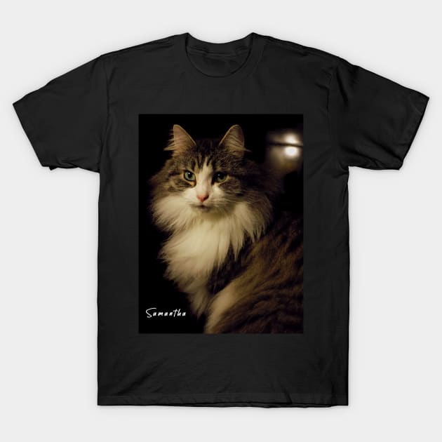 Ms. Samantha Fluffypants T-Shirt by JohnStanton